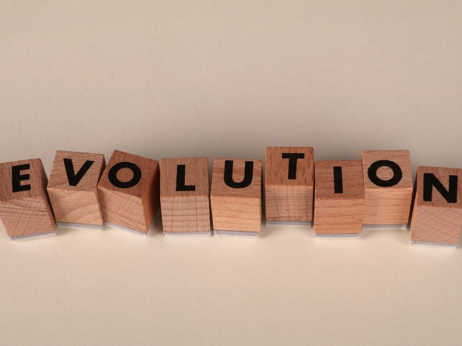 Wooden blocks spelling 'Evolution' on a neutral beige background, symbolizing change and growth.