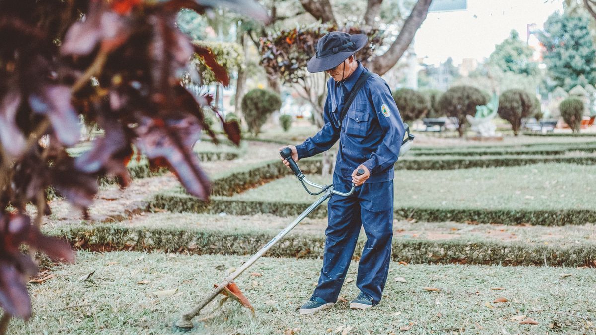 A gardener trims grass in a scenic park setting, focusing on maintenance and landscaping.