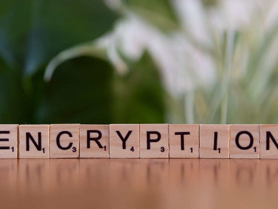 Close-up of wooden blocks spelling 'encryption', symbolizing data security and digital protection.